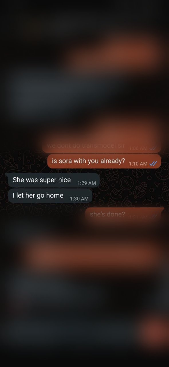 Sora latest review screenshot