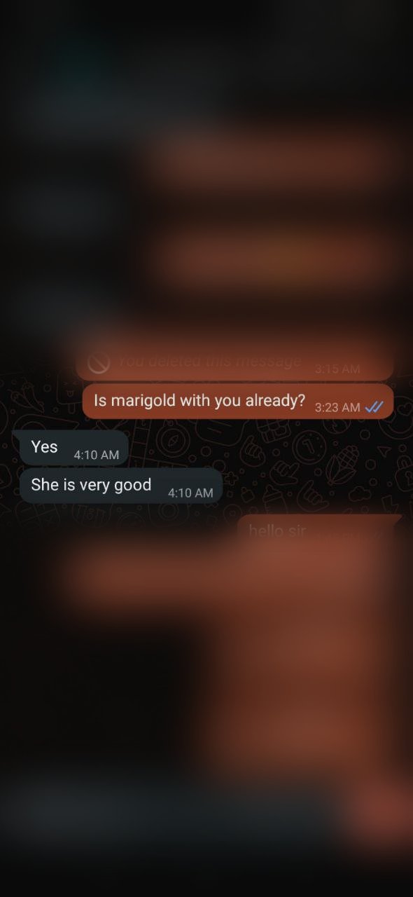Marigold latest review screenshot
