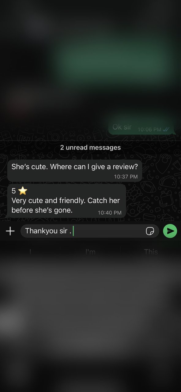 Alessandra latest review screenshot